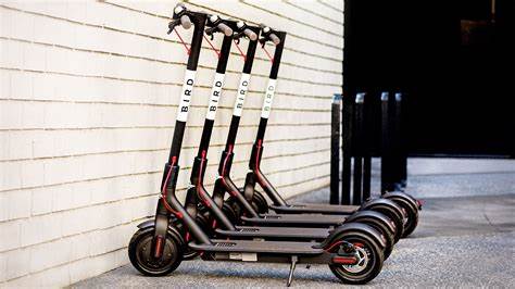 Chestermere Council Puts Proposed E-Scooter Program on Hold